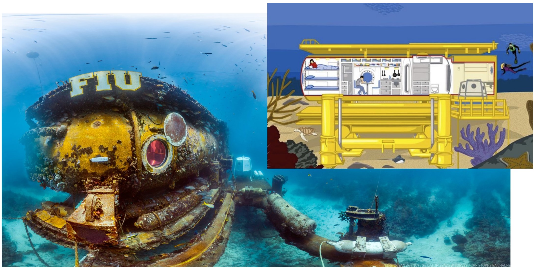 Scientific Diving: Aquarius Reef Base: 30 Years of Undersea Research ECO :  ECO May/Jun 2020